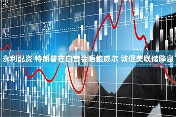 永利配资 特朗普在白宫会晤鲍威尔 敦促美联储降息