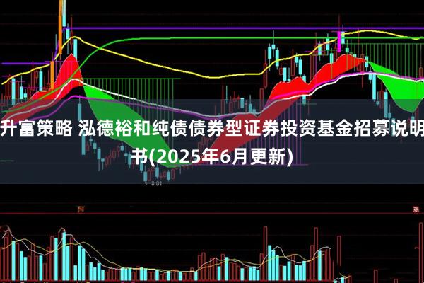升富策略 泓德裕和纯债债券型证券投资基金招募说明书(2025年6月更新)