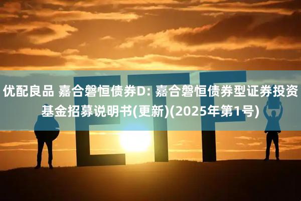 优配良品 嘉合磐恒债券D: 嘉合磐恒债券型证券投资基金招募说明书(更新)(2025年第1号)