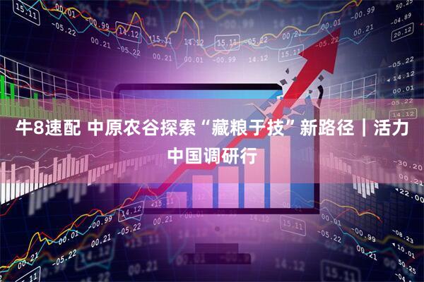 牛8速配 中原农谷探索“藏粮于技”新路径｜活力中国调研行