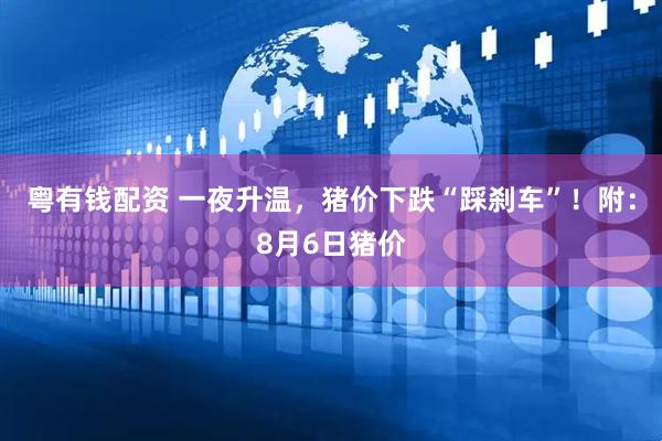 粤有钱配资 一夜升温，猪价下跌“踩刹车”！附：8月6日猪价