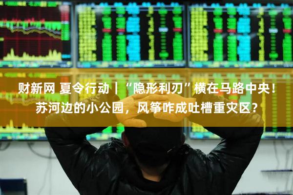 财新网 夏令行动｜“隐形利刃”横在马路中央！苏河边的小公园，风筝咋成吐槽重灾区？