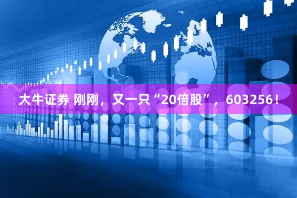 大牛证券 刚刚，又一只“20倍股”，603256！